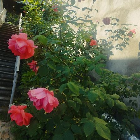 Bbq House Διαμέρισμα Dilijan Εξωτερικό φωτογραφία