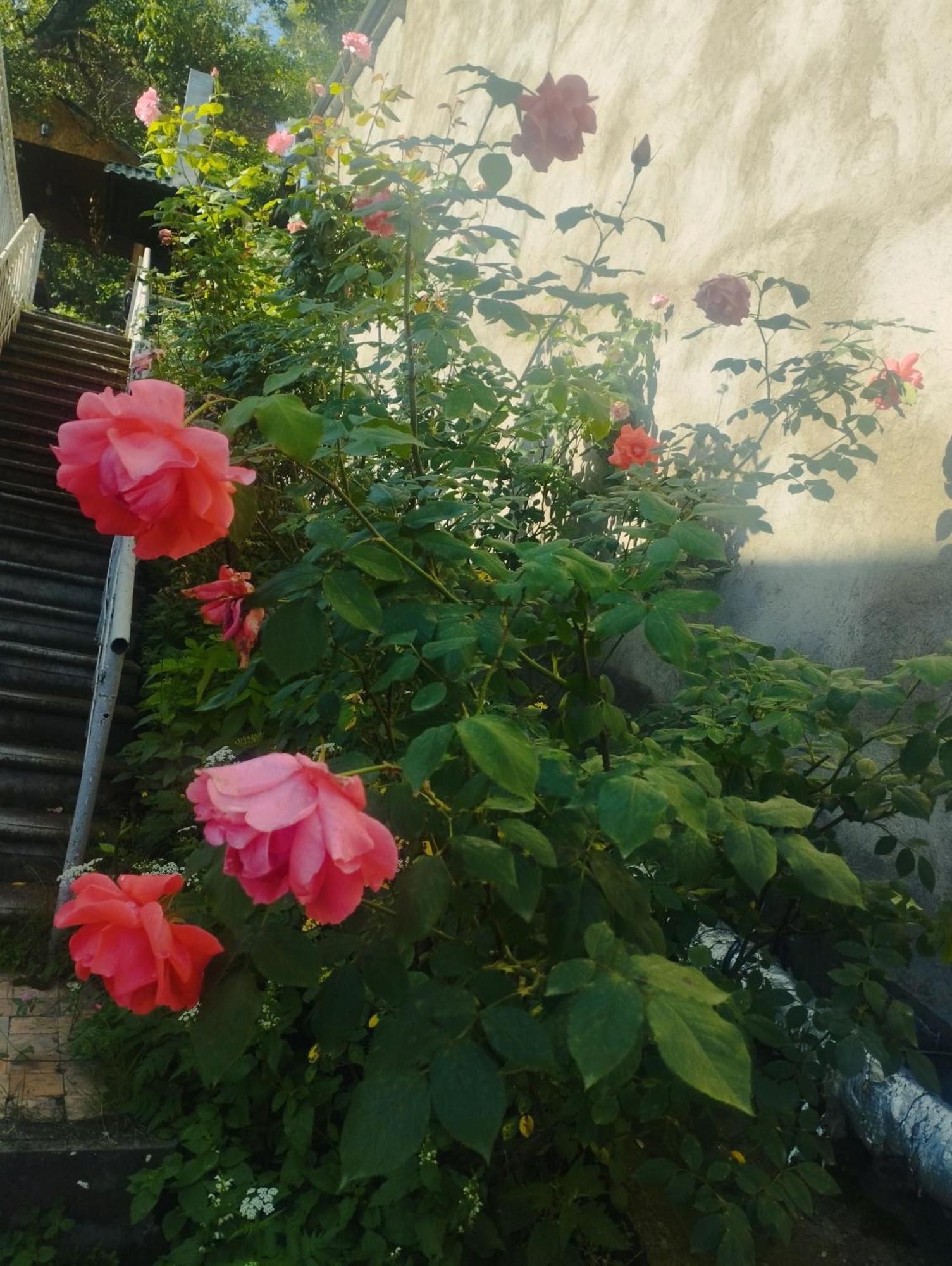 Bbq House Διαμέρισμα Dilijan Εξωτερικό φωτογραφία